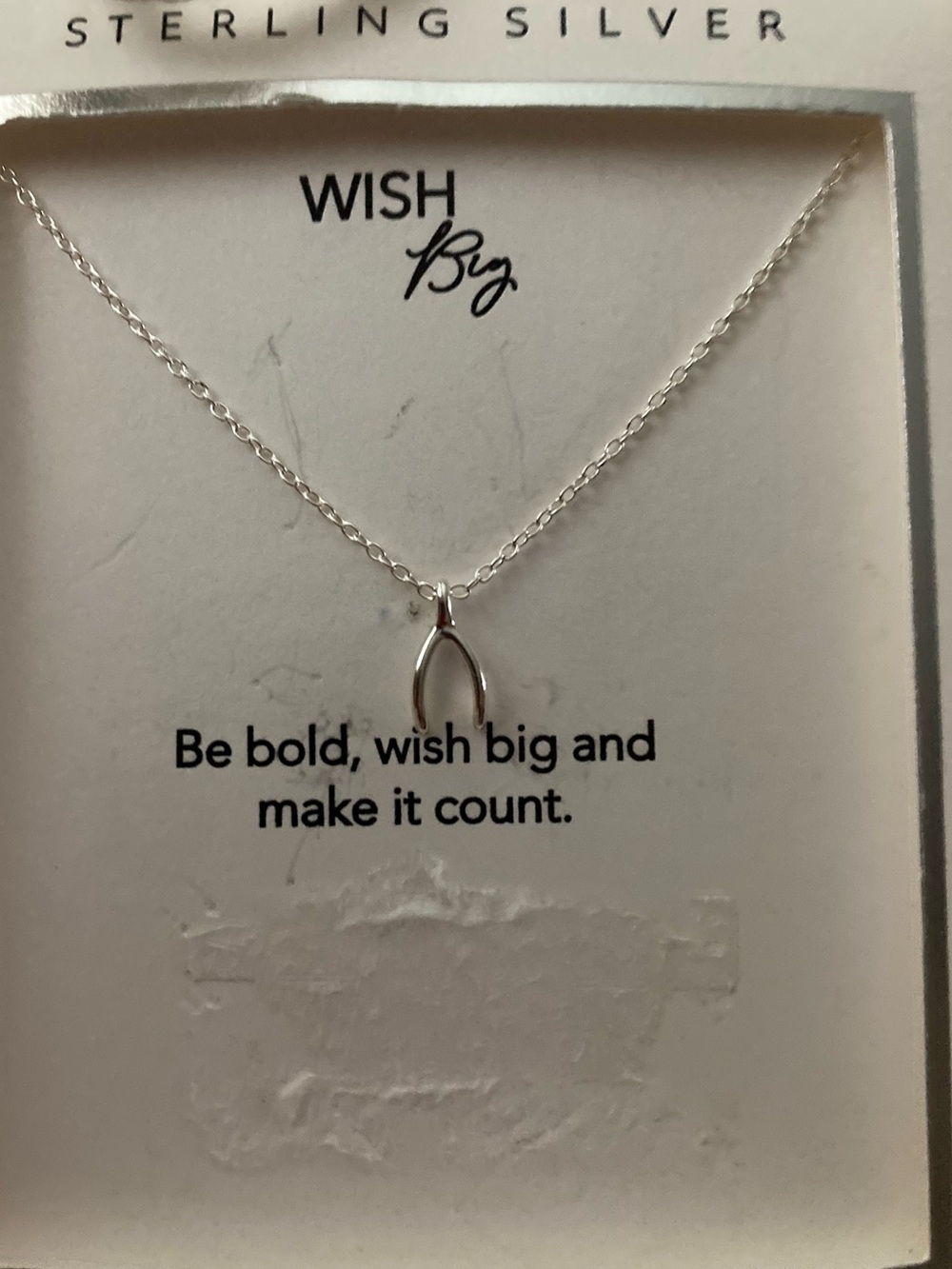 NWT Sterling Silver Wishbone necklace